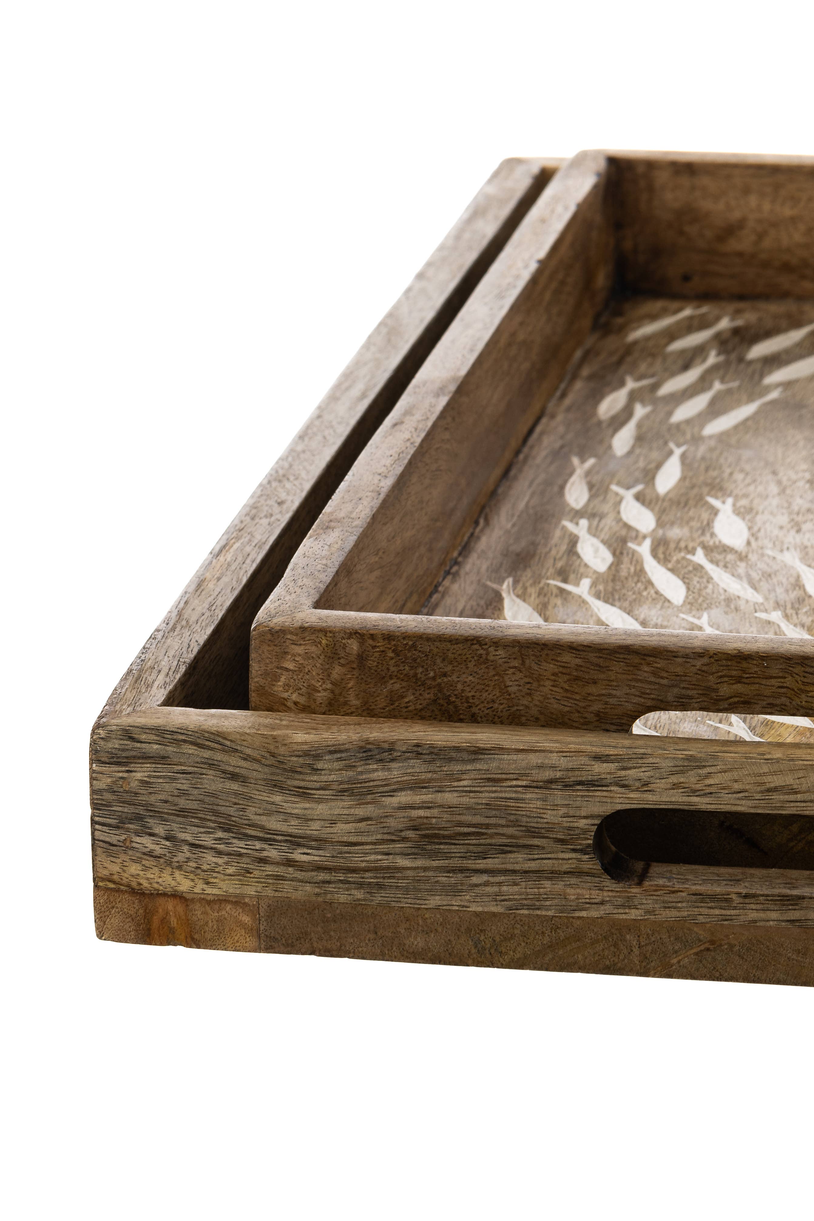 Large Shoal Tray