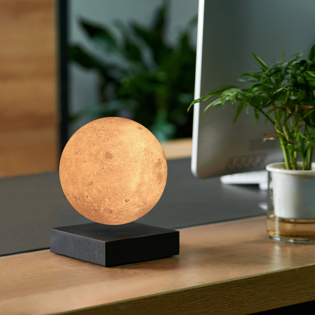 Gingko Smart Moon Lamp: Walnut