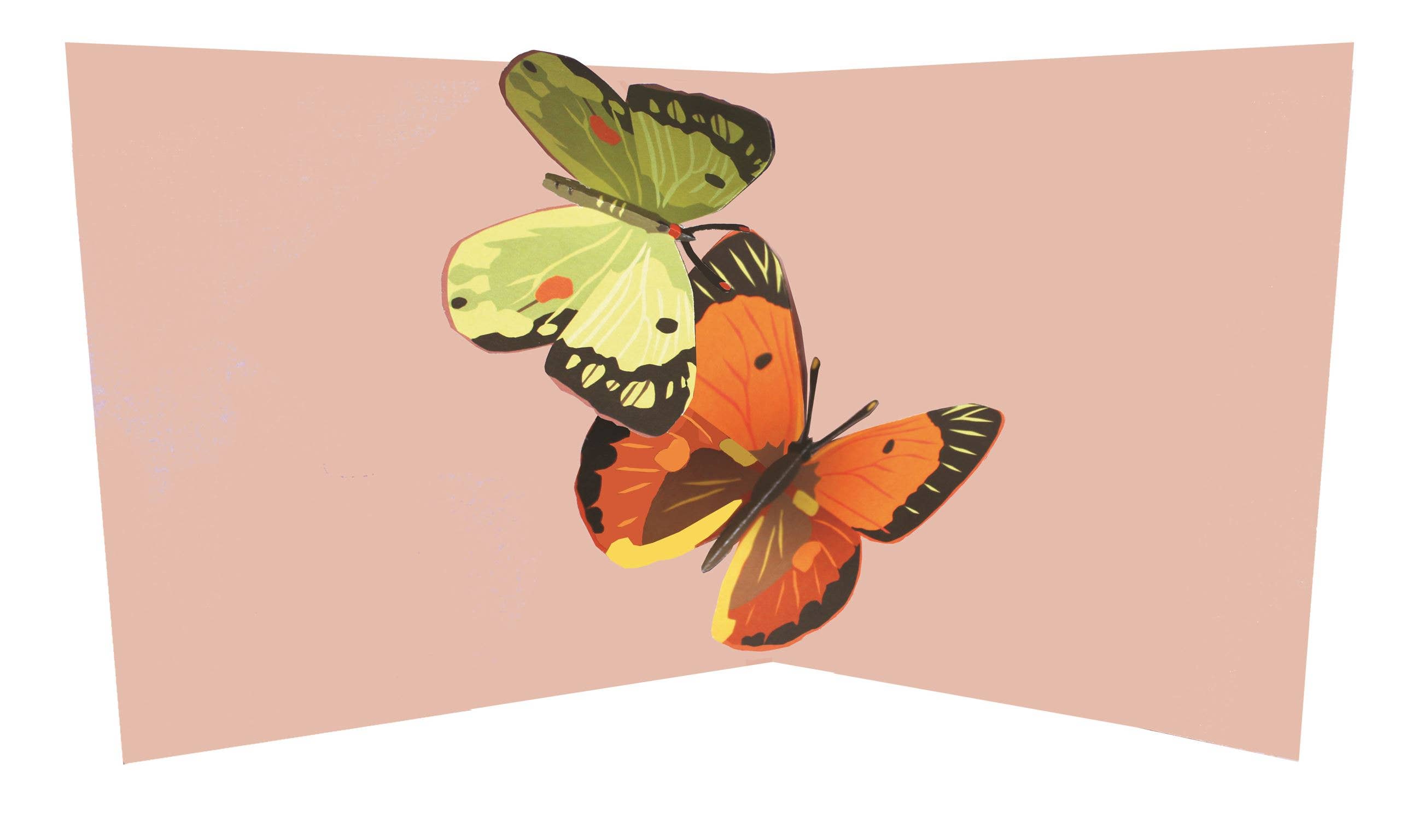 Butterflies:Two Butterflies