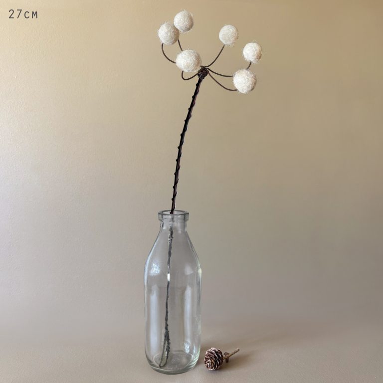 White Cow Parsley