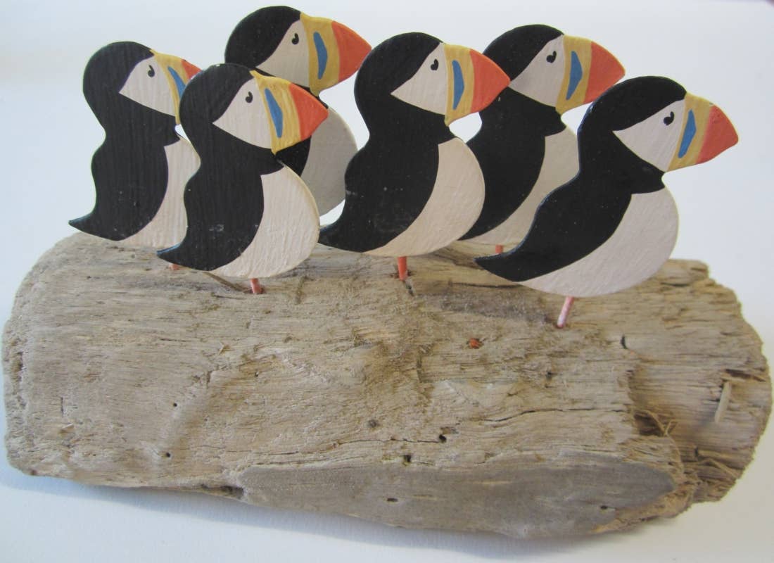 Flock Of Puffins On Driftwood