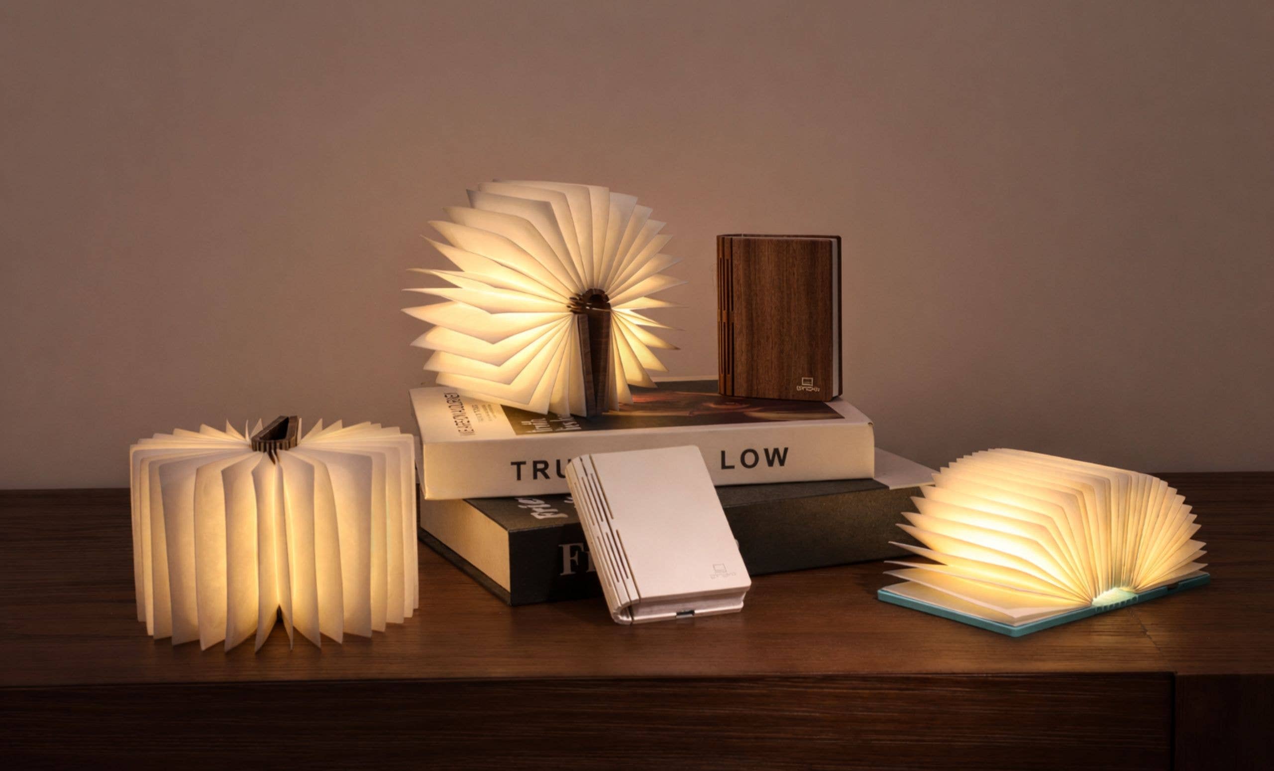 Super Mini Smart Book Light - Palm Edition: Coral Red