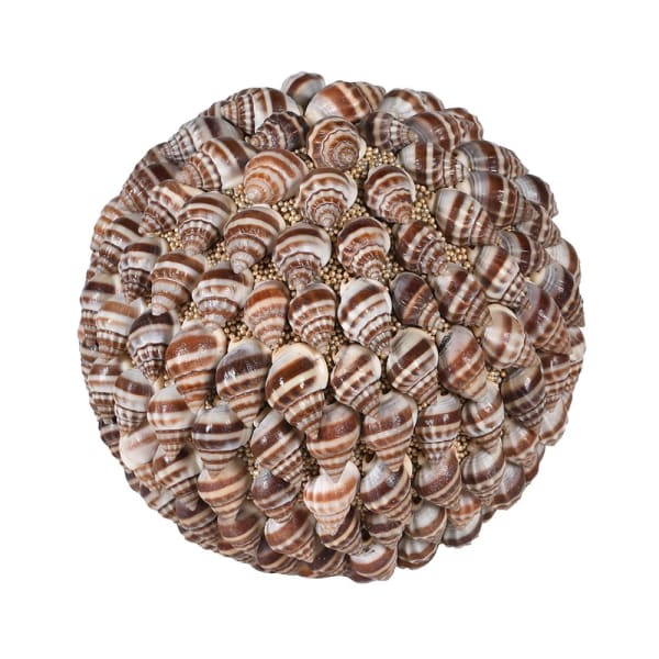 Shell Sphere Decoration