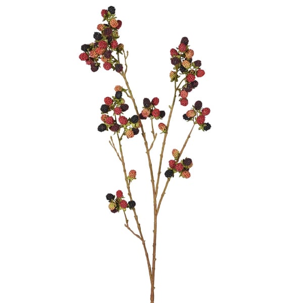 Red Mulberry Stem