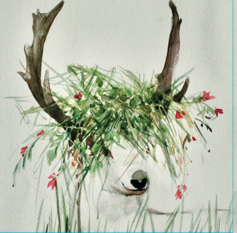 Young Stag Pack of 4 Cards