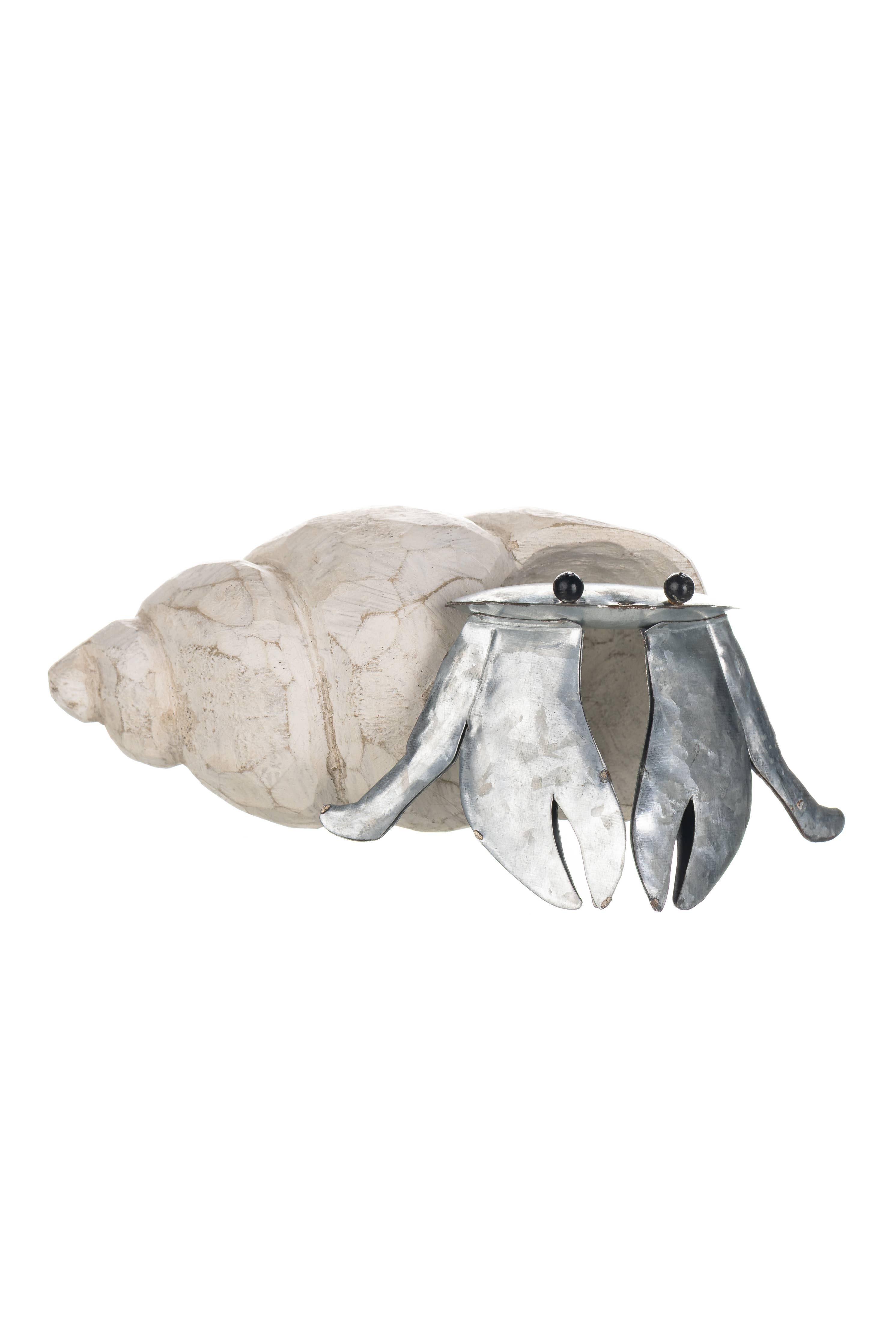 Tin Hermit Crab