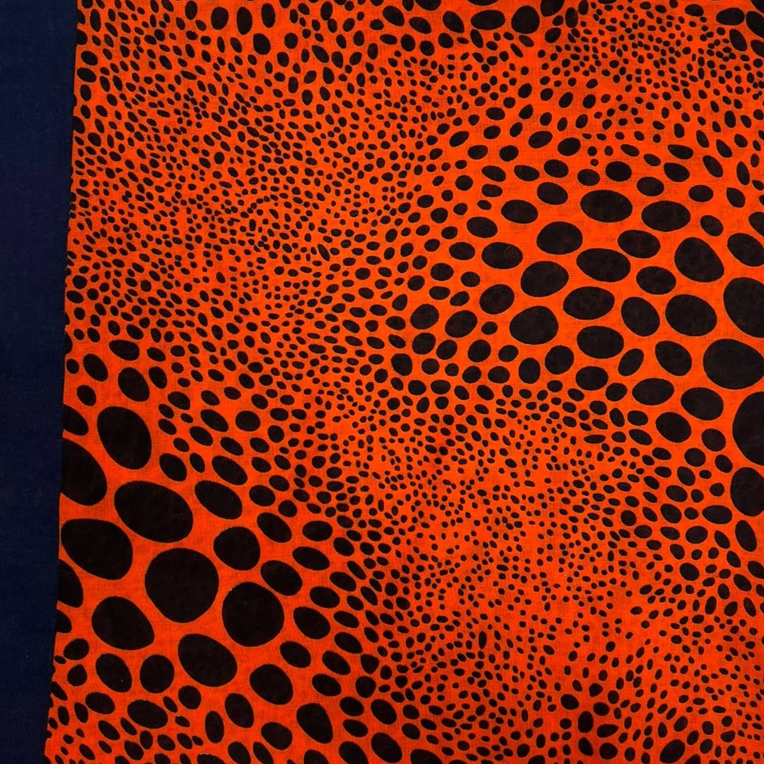 Leopard dots print scarf : Black