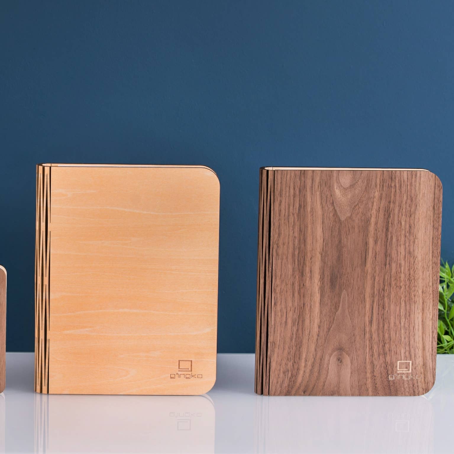 Natural Wood Smart Book Light: Walnut / Mini