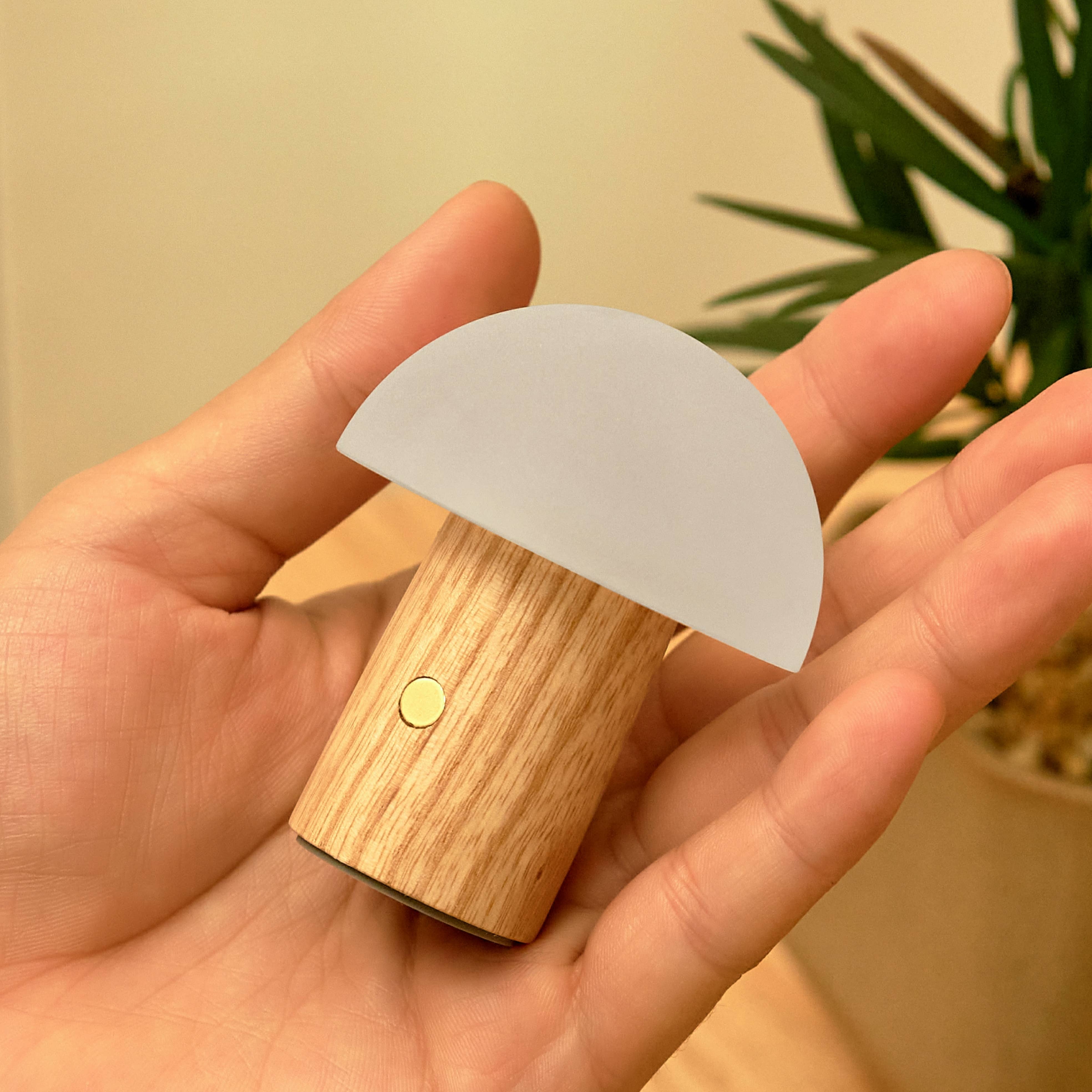 Alice Mushroom Lamp Super Mini Walnut nightlight with frosted cap