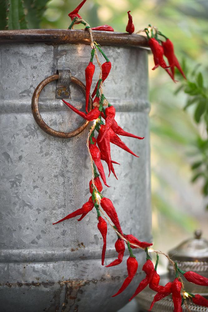 Chilli Pepper Battery Lights - The Nancy Smillie Shop - Art, Jewellery & Designer Gifts Glasgow