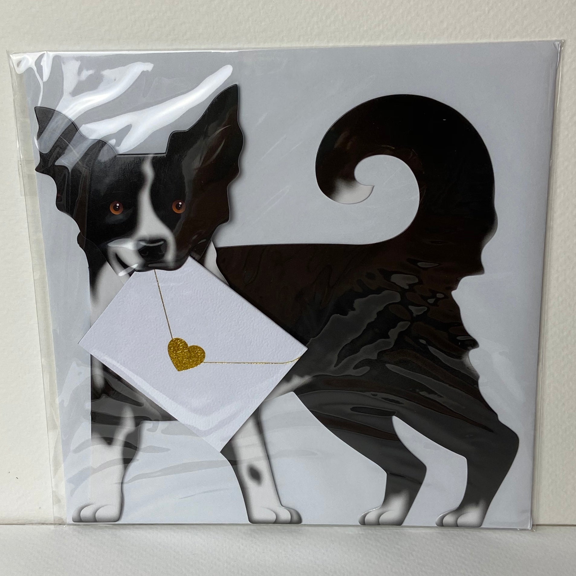 Black and white Collie dog card with envelope and gold heart charm