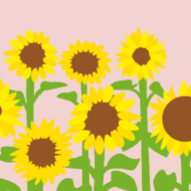 Flower Fields Sunflowers Pop-Up Card - The Nancy Smillie Shop - Art, Jewellery & Designer Gifts Glasgow