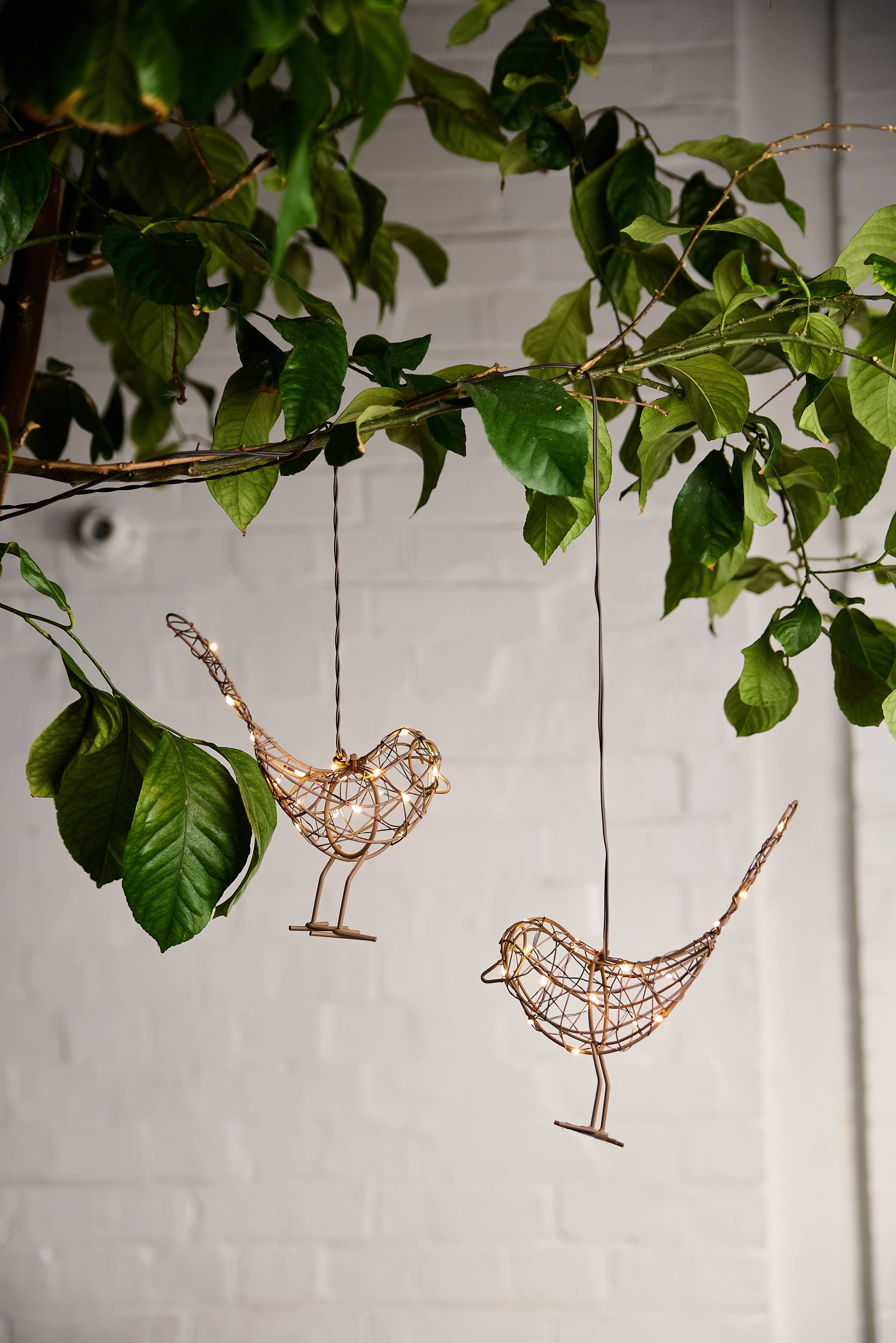 Hanging Robin: Brown - Gifts Under £15 - Scotland