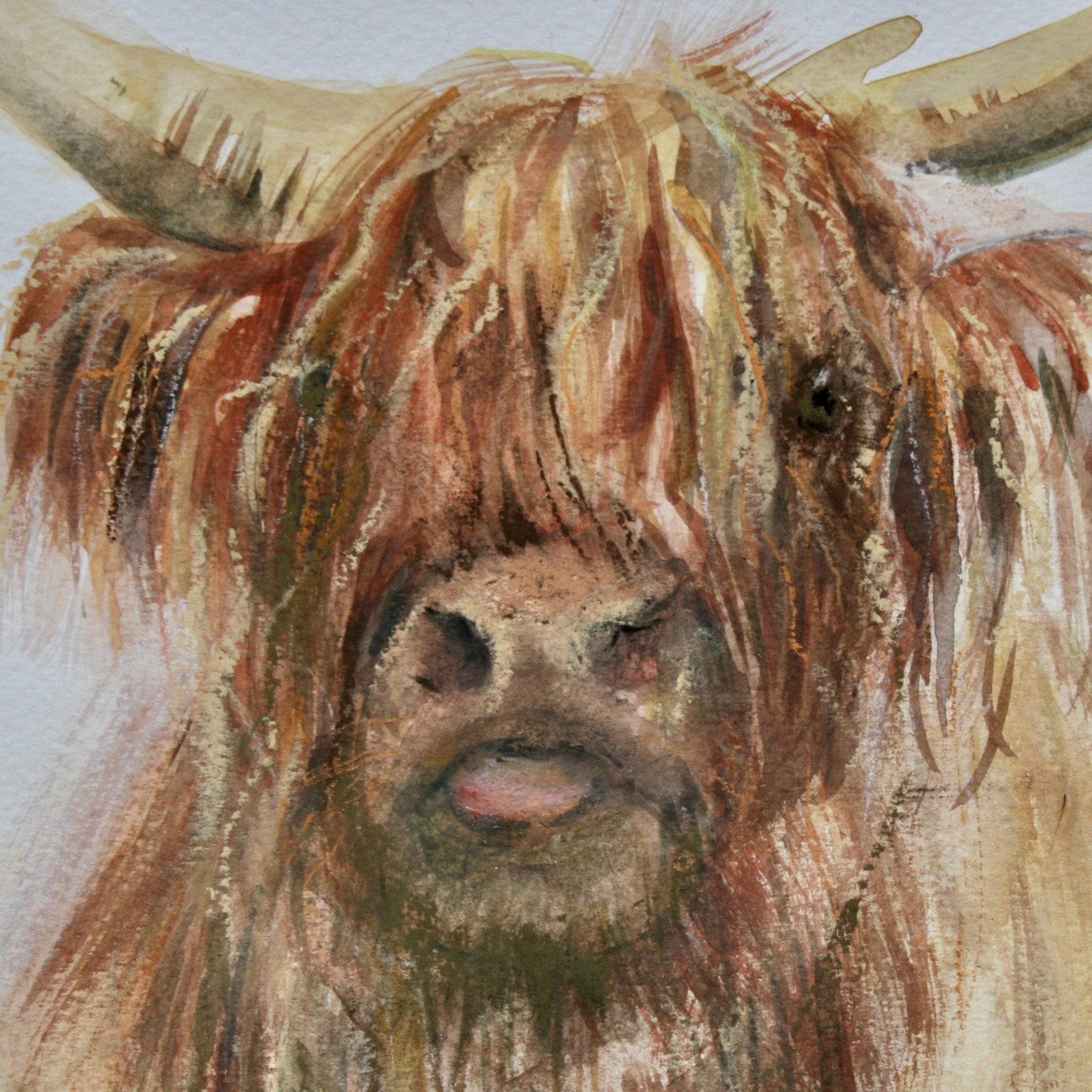 Highland Cow Pack of 4 Cards - The Nancy Smillie Shop - Art, Jewellery & Designer Gifts Glasgow