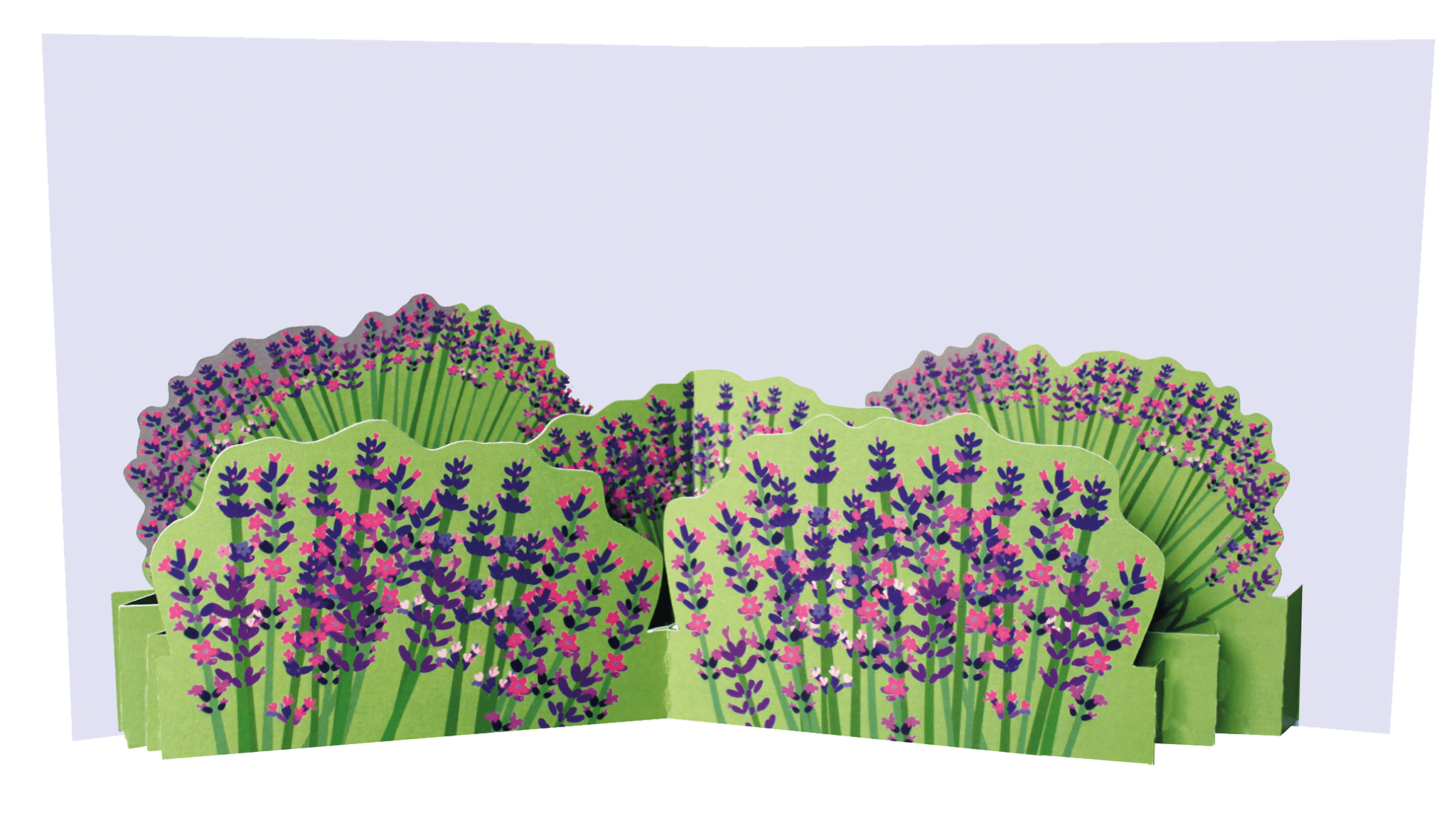 Lavender Pop Up Card - The Nancy Smillie Shop - Art, Jewellery & Designer Gifts Glasgow