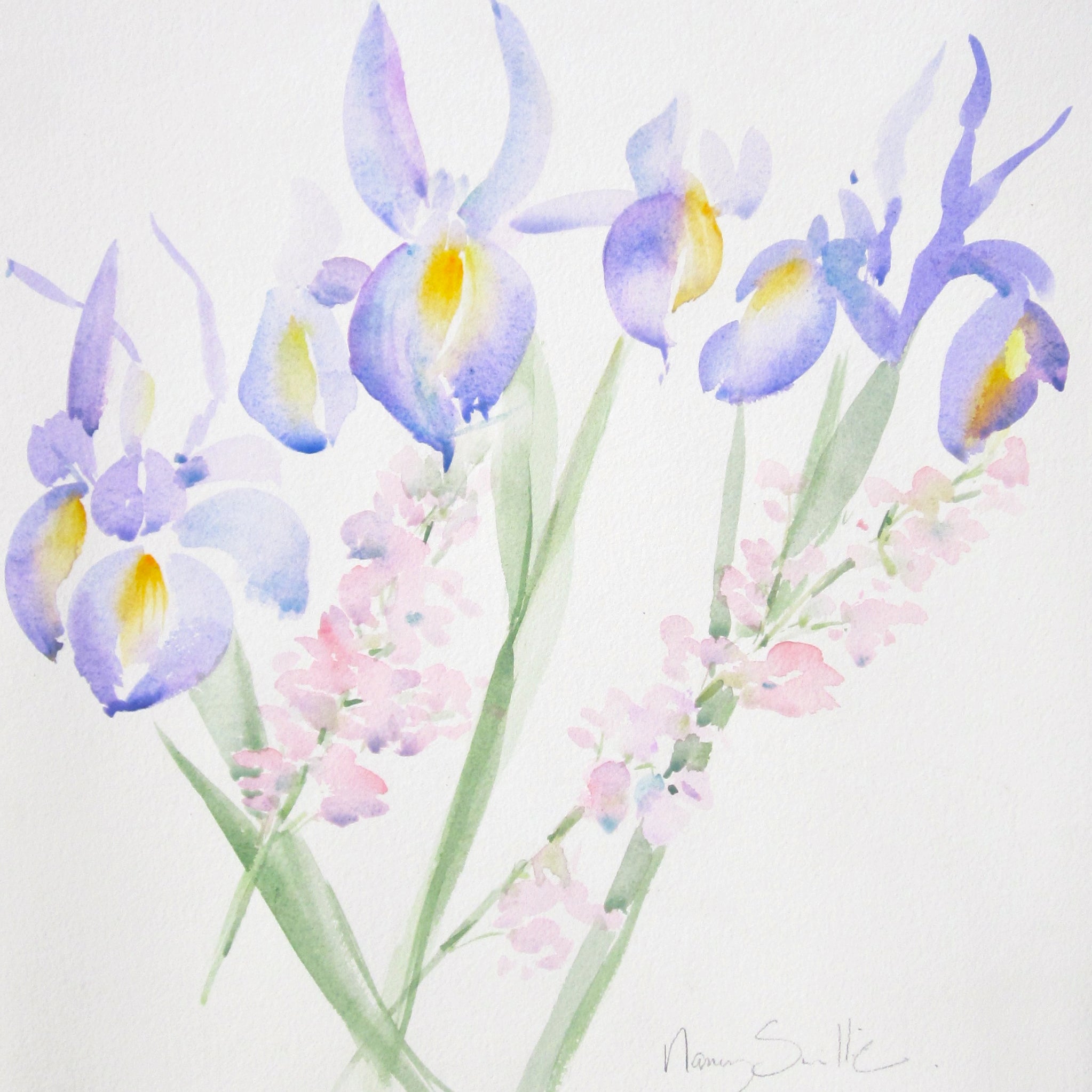 Light Iris Pack of 4 Cards - The Nancy Smillie Shop - Art, Jewellery & Designer Gifts Glasgow