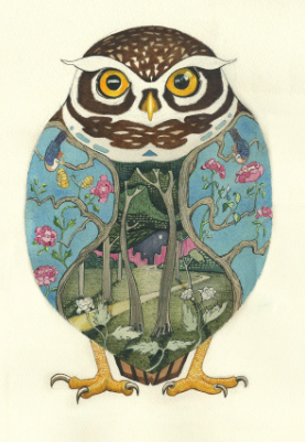 Little Owl Card | The Nancy Smillie Shop - Art, Jewellery & Designer Gifts Glasgow Scotland