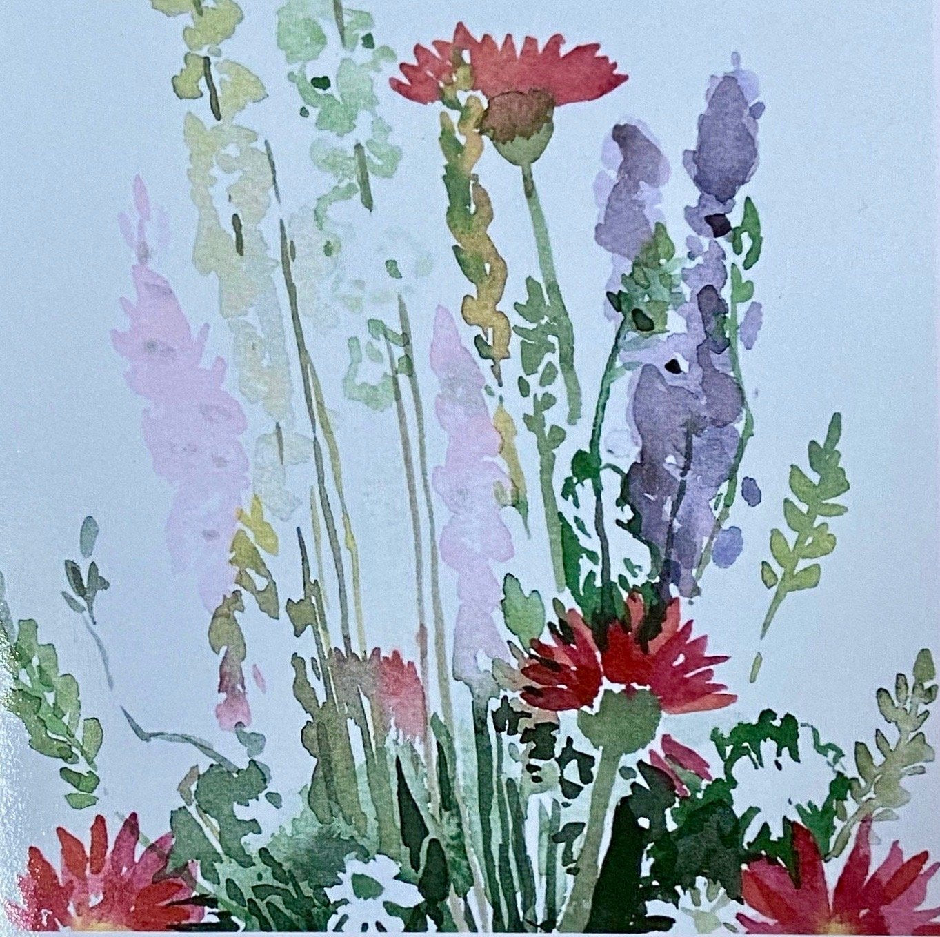 Meadow Flowers Pack of 4 Cards - The Nancy Smillie Shop - Art, Jewellery & Designer Gifts Glasgow