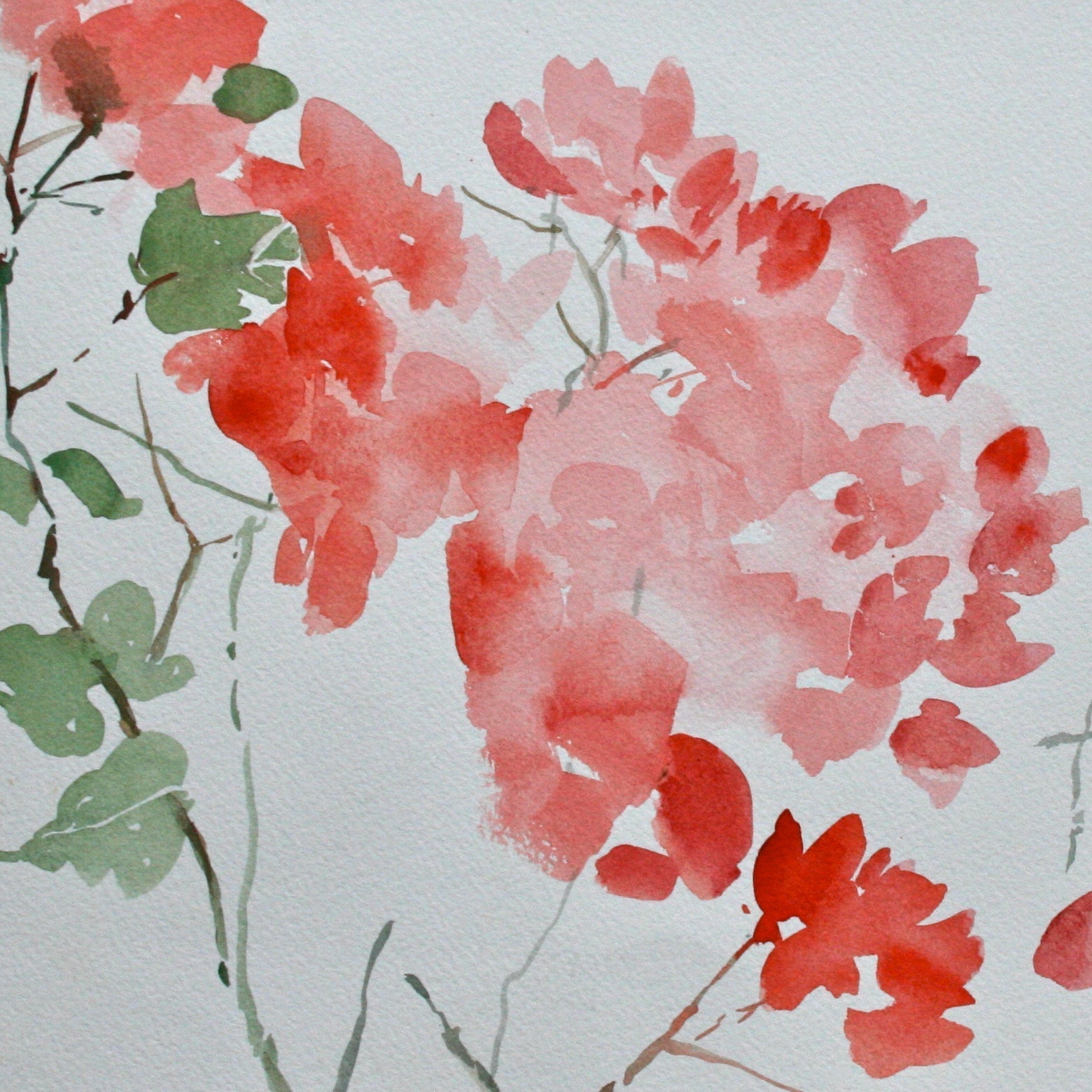 Pack of 4 Light as air Flowers - The Nancy Smillie Shop - Art, Jewellery & Designer Gifts Glasgow