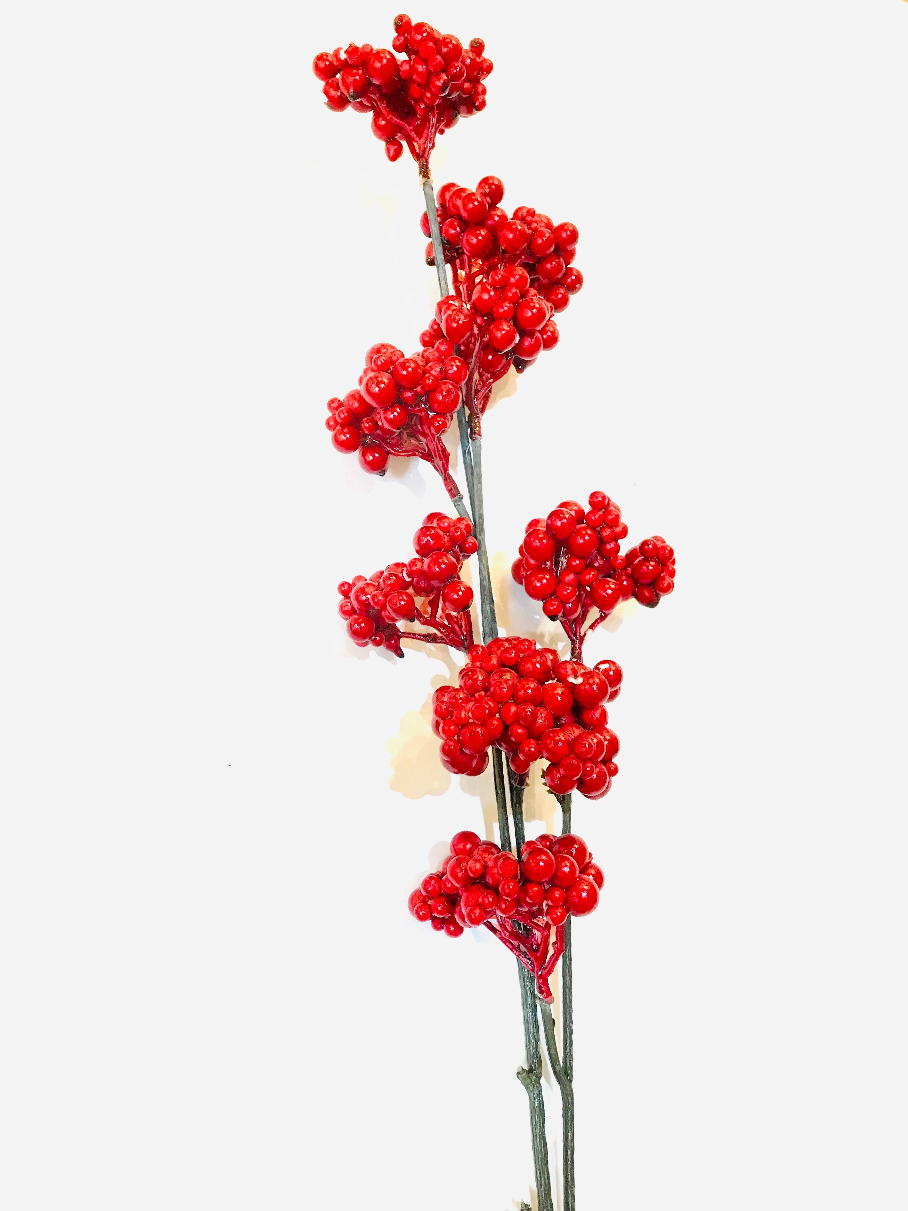 red berries spray - The Nancy Smillie Shop - Art, Jewellery & Designer Gifts Glasgow