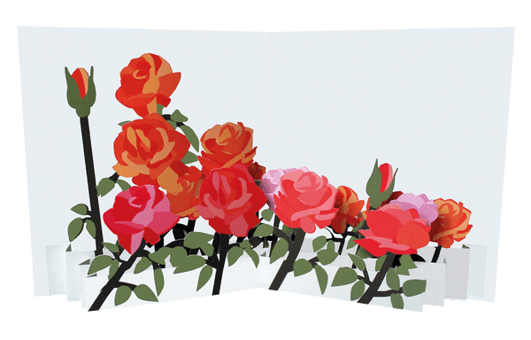 Red Roses Card - All our cards! - we can send them for you. - Scotland