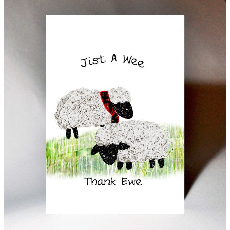 Sheep Thank You Card - The Nancy Smillie Shop - Art, Jewellery & Designer Gifts Glasgow