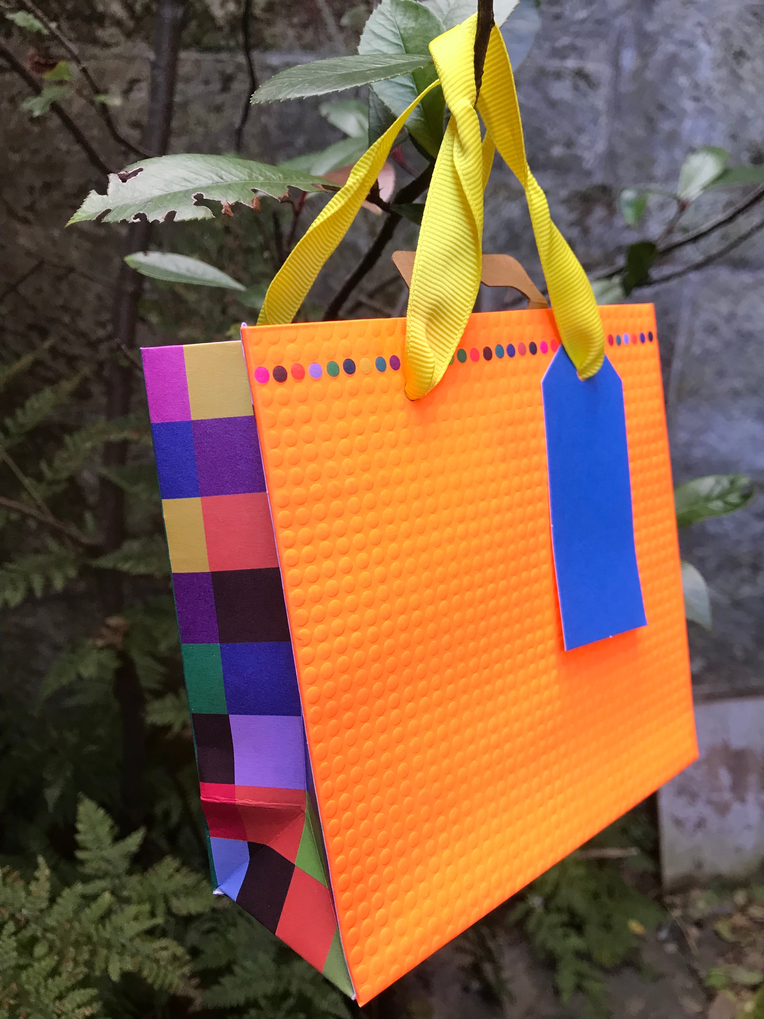 Small Tangy Tangerine Gift Bag | The Nancy Smillie Shop - Art, Jewellery & Designer Gifts Glasgow Scotland