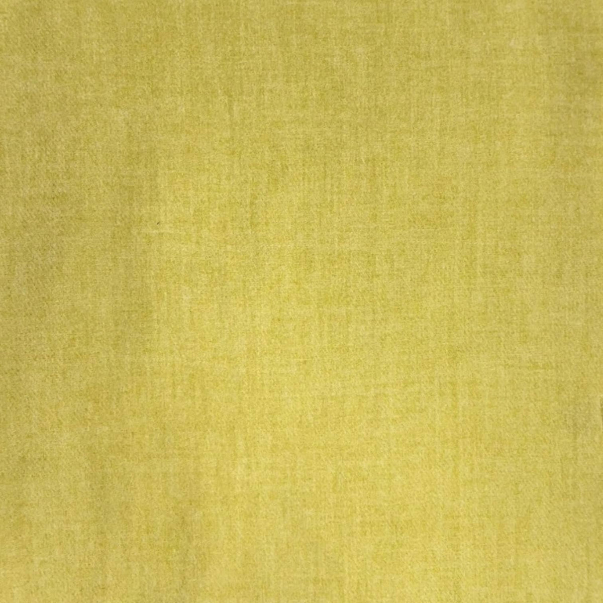 Classic Plain wool Blend with Tassels  300 gr + : Khaki