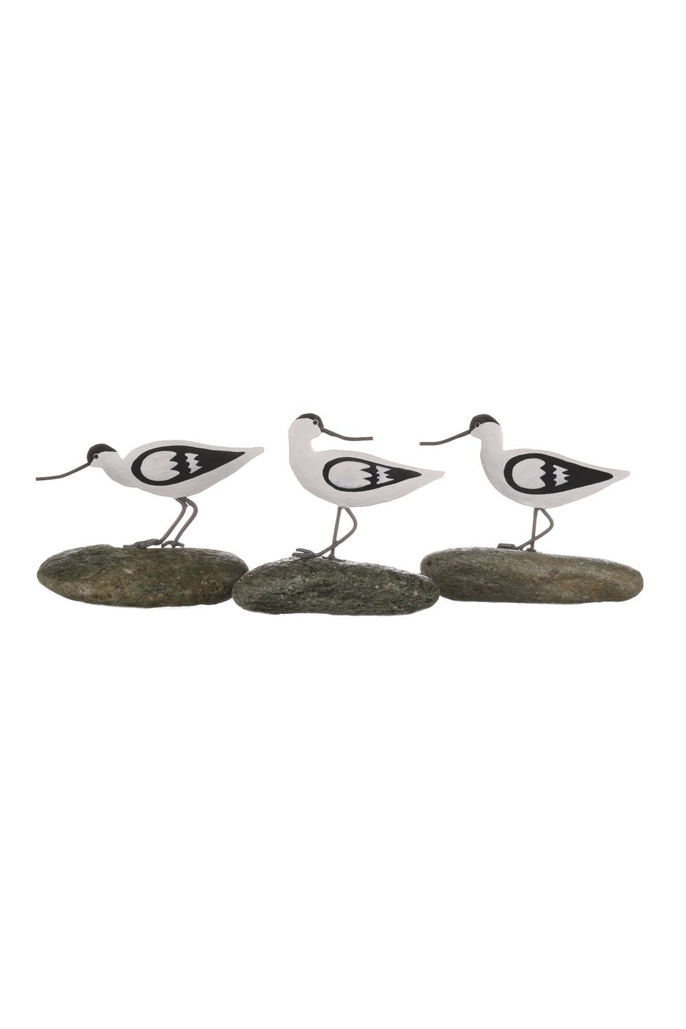 Avocet On Pebble ( Mixed )