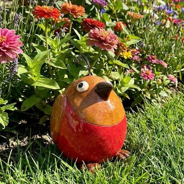 Crazy Bird - Robin