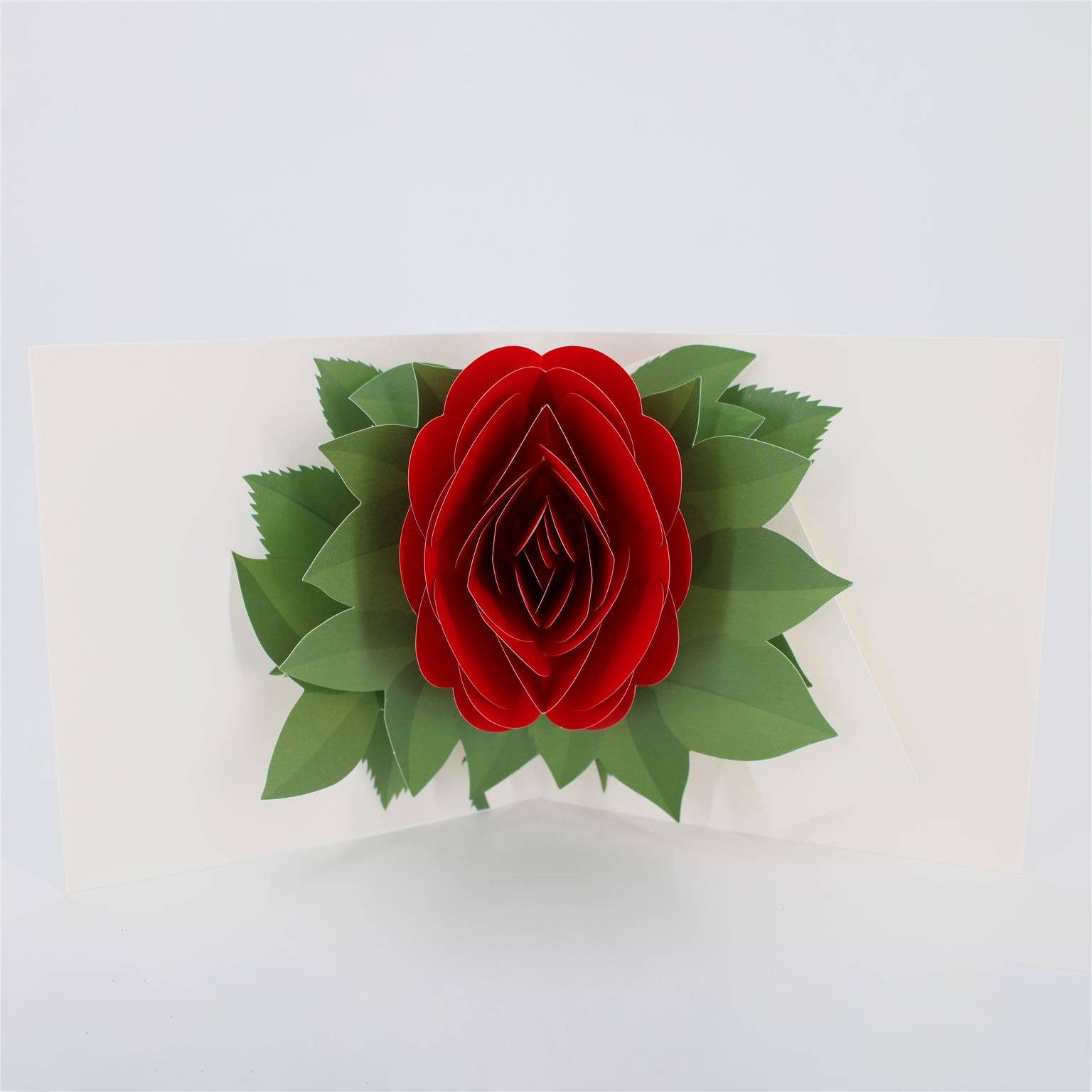 Simply A Rose: Bright Red - 2toTango - Second Nature