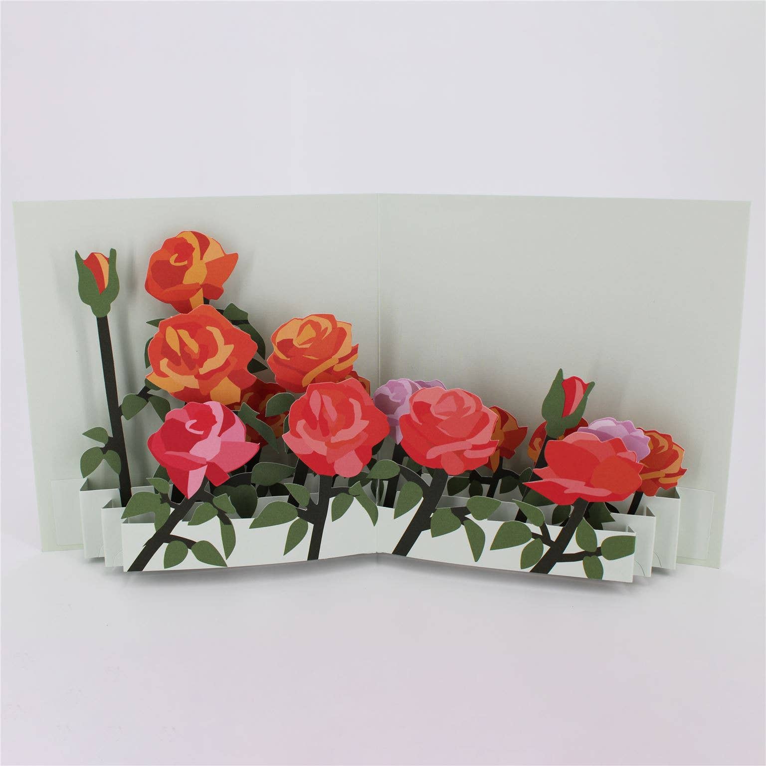 Flower Fields: Roses card