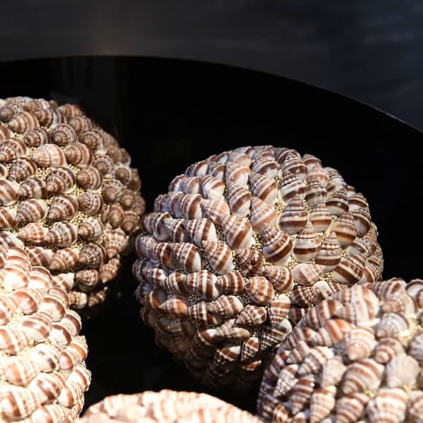 Shell Sphere Decoration