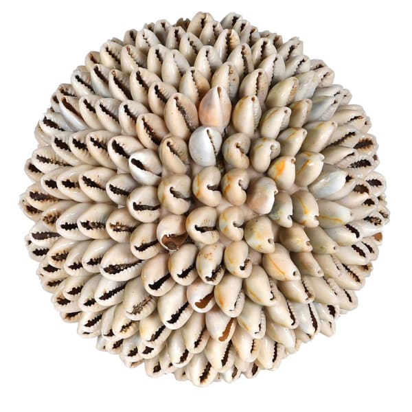 Shell Decoration