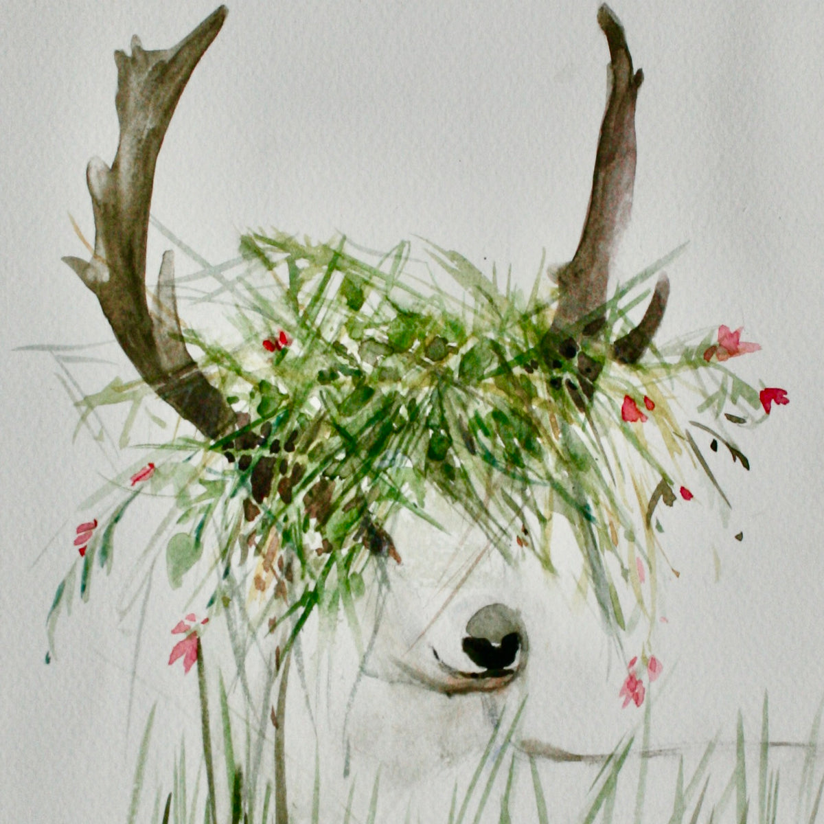 Young Stag Pack of 4 Cards