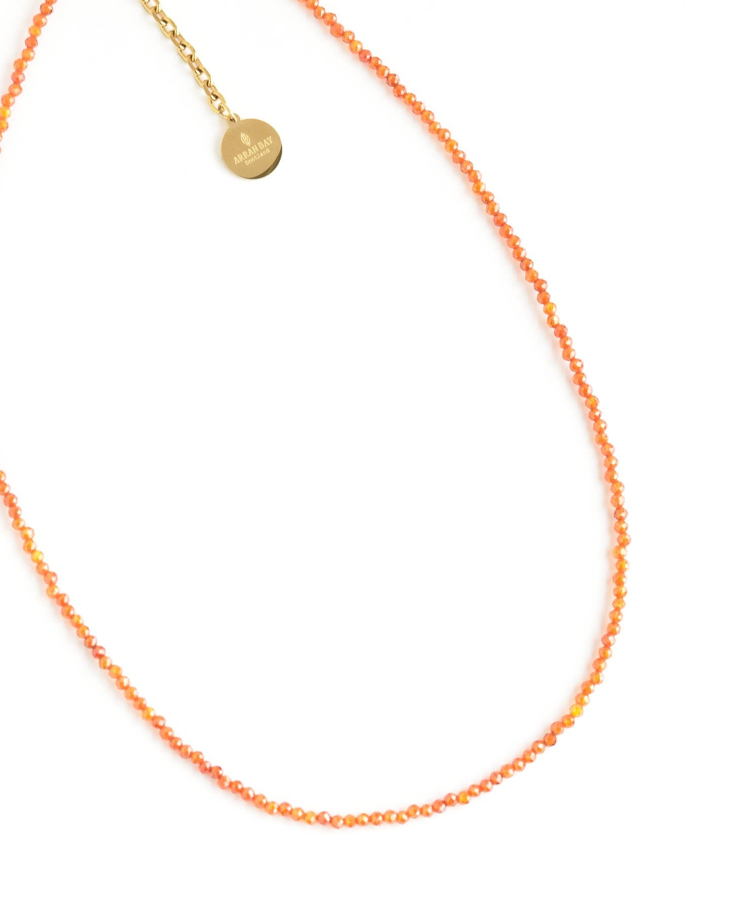 Charm holder necklace