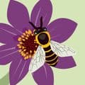 Bee on Flower Pop Up Card - The Nancy Smillie Shop - Art, Jewellery & Designer Gifts Glasgow