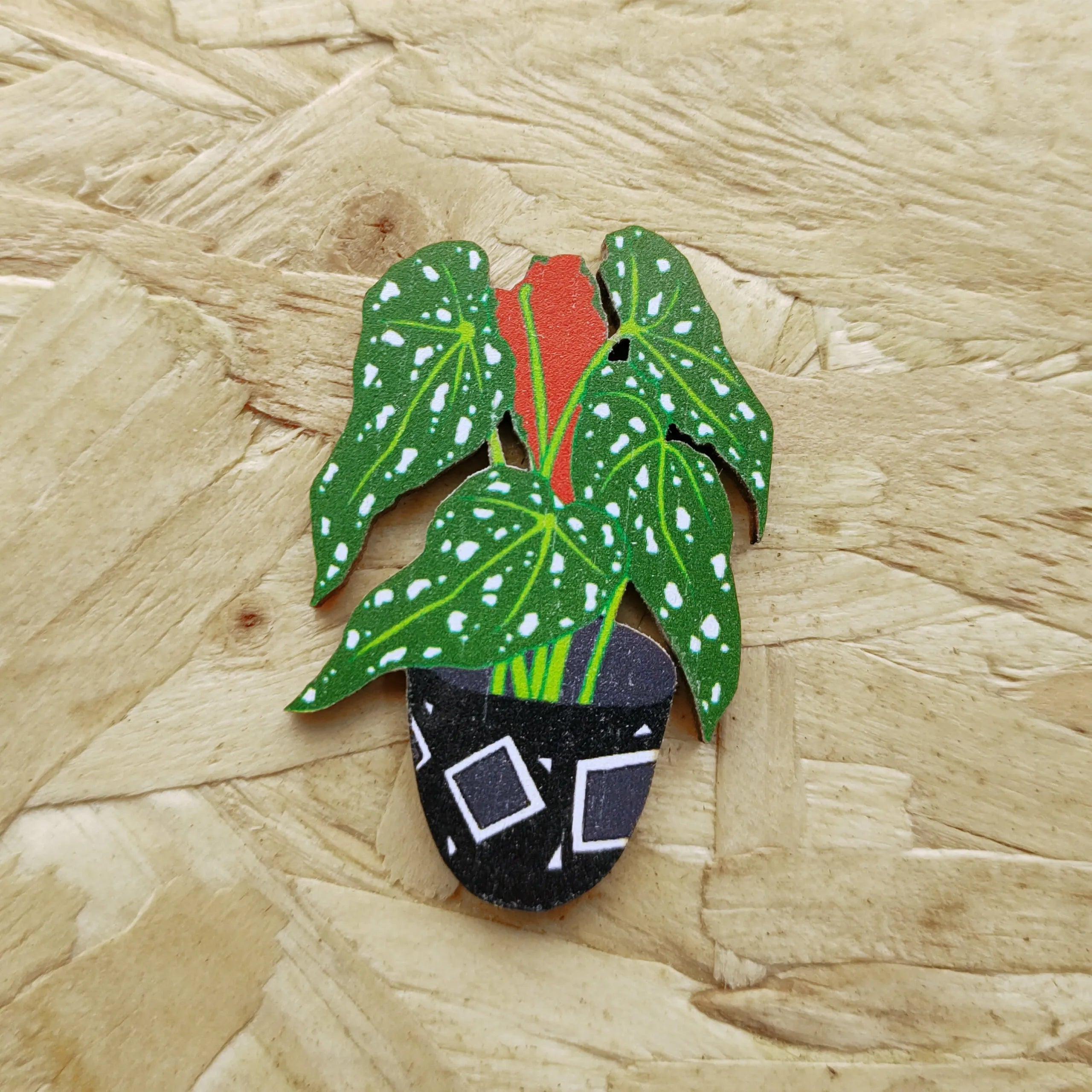 Begonia Pin - The Nancy Smillie Shop - Art, Jewellery & Designer Gifts Glasgow