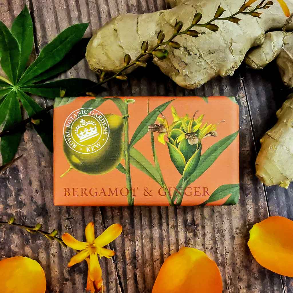 Bergamot & Ginger Soap - The Nancy Smillie Shop - Art, Jewellery & Designer Gifts Glasgow