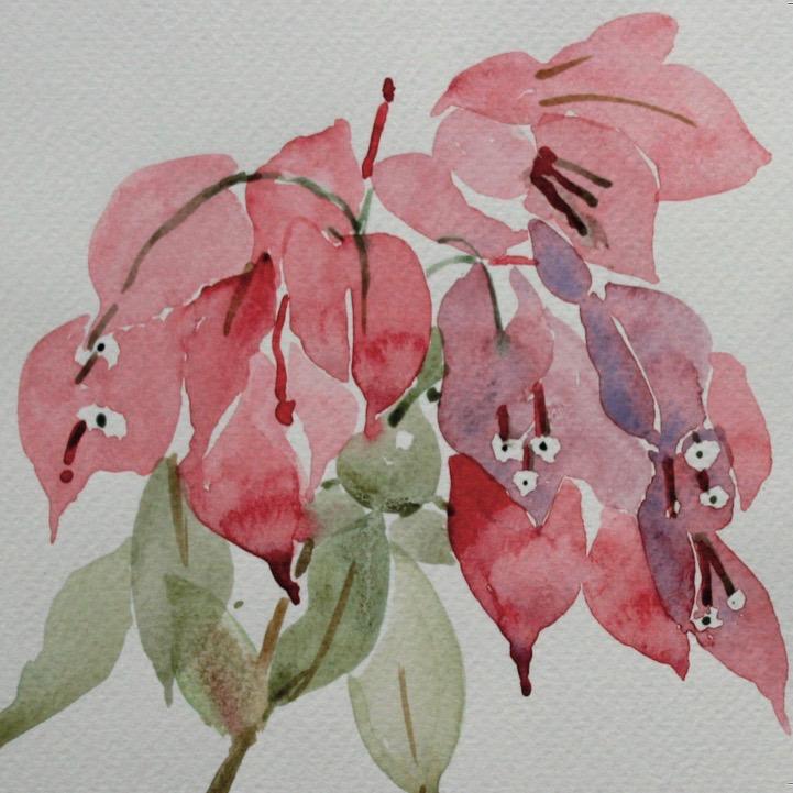 Bougainvillea Flower Card - Pack of 4 - The Nancy Smillie Shop - Art, Jewellery & Designer Gifts Glasgow