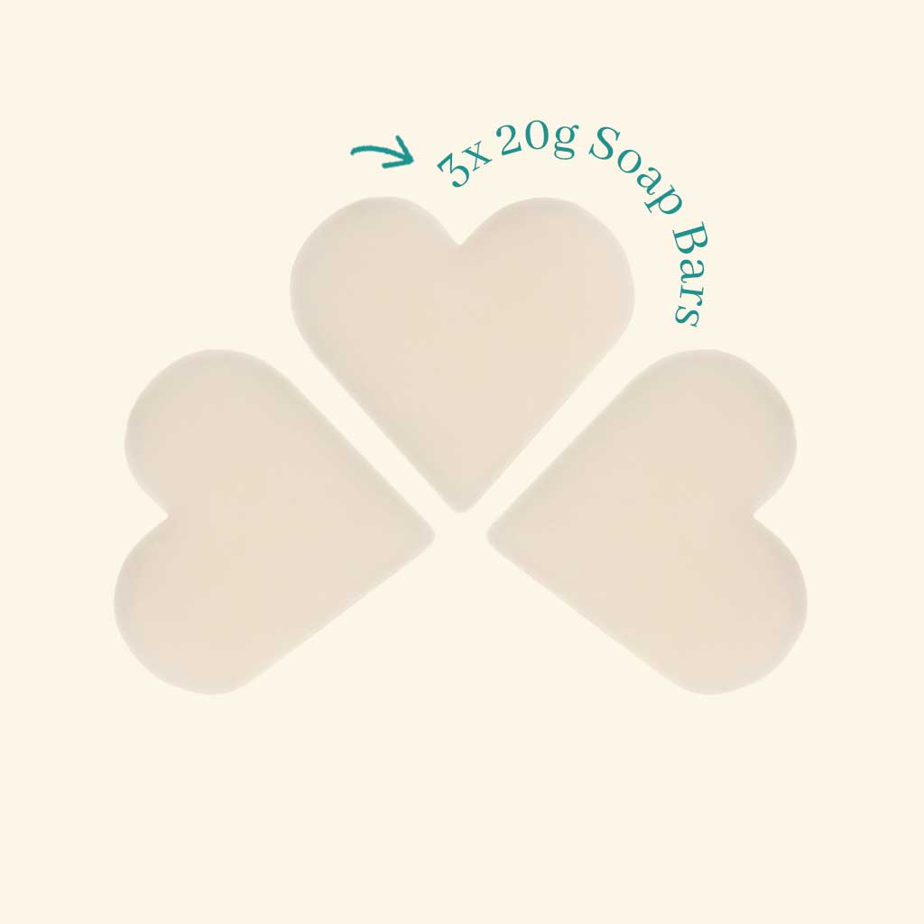 Christmas Tidings Frosted Fir & Holly Heart Guest Soaps