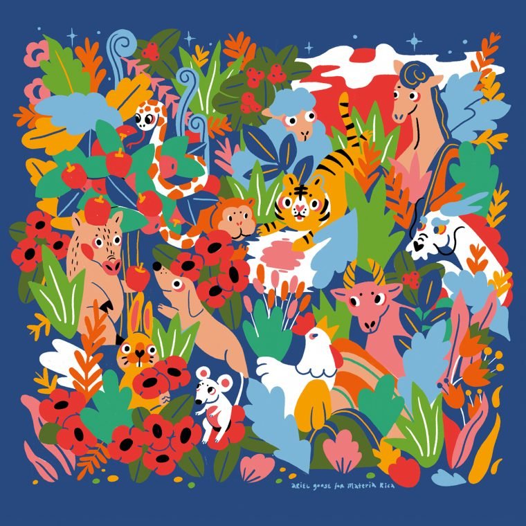 Colourful Scarf - The Nancy Smillie Shop - Art, Jewellery & Designer Gifts Glasgow