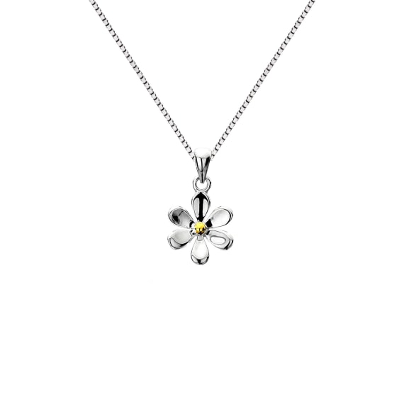 Daisy and Brass Silver Necklace - The Nancy Smillie Shop - Art, Jewellery & Designer Gifts Glasgow