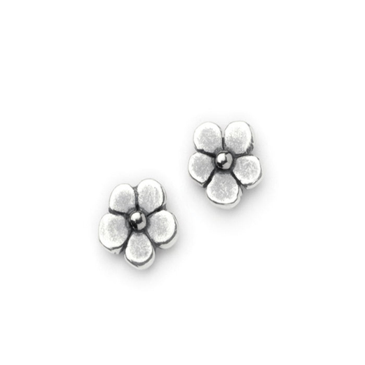 Daisy Earrings - The Nancy Smillie Shop - Art, Jewellery & Designer Gifts Glasgow