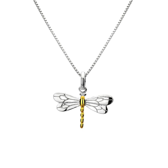 Dragonfly Necklace - The Nancy Smillie Shop - Art, Jewellery & Designer Gifts Glasgow