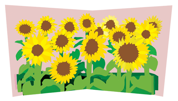 Flower Fields Sunflowers Pop-Up Card - The Nancy Smillie Shop - Art, Jewellery & Designer Gifts Glasgow