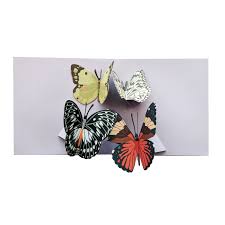 Four Butterflies Pop Up Card - The Nancy Smillie Shop - Art, Jewellery & Designer Gifts Glasgow
