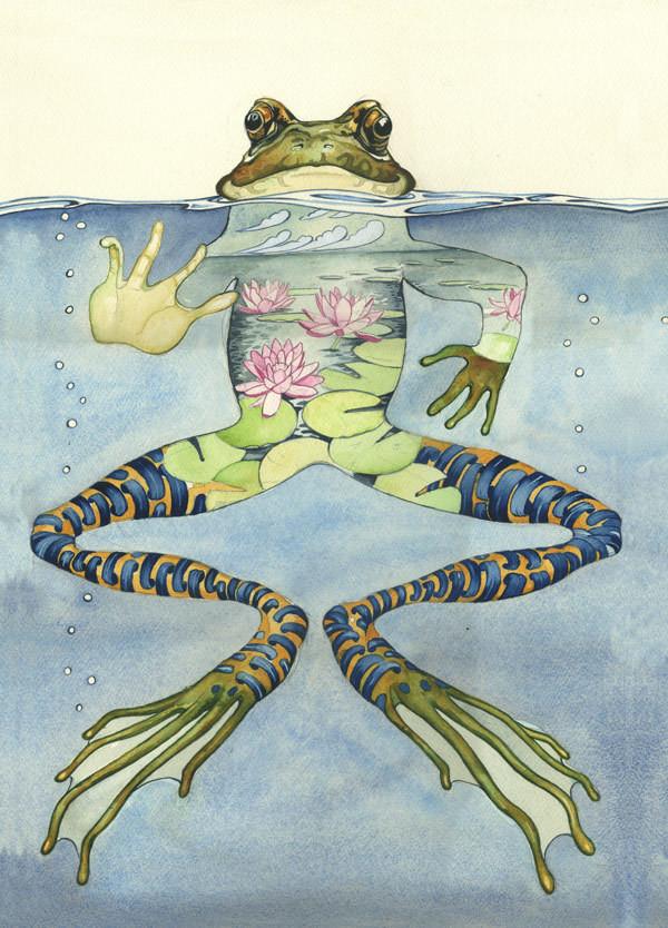 Frog Card - The Nancy Smillie Shop - Art, Jewellery & Designer Gifts Glasgow