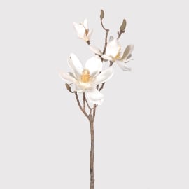 Magnolia Branch - The Nancy Smillie Shop - Art, Jewellery & Designer Gifts Glasgow