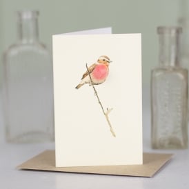 Mini Bird Card - The Nancy Smillie Shop - Art, Jewellery & Designer Gifts Glasgow